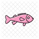 Rockfish  Icon