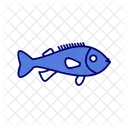 Rockfish  Icon