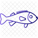 Rockfish  Icon