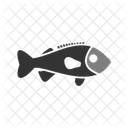 Rockfish  Icon