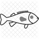 Rockfish  Icon