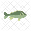 Rockfish  Icon