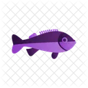Rockfish Perch Bass Icon