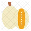 Melon Cantaloupe Organic Icon