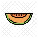 Rodaja de melón  Icon