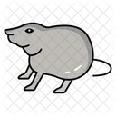 Rodent pests  Icon