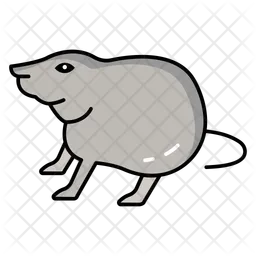 Rodent pests  Icon