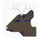 Roe Deer Deer Herbivore Icon