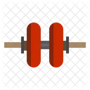 Roller Sport Exercise Icon