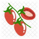 Fruit Fruits Vegetables Icon