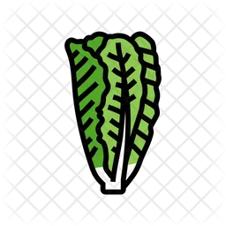 Romaine  Icon