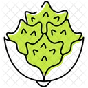 Romanesco Broccoli  Icon