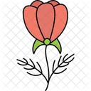 Romantic Rose Flower Love Bloom Elegant Rose Icon