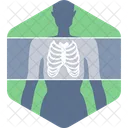 Rontgen Medizin Gesundheitswesen Symbol