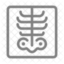 Röntgen  Symbol