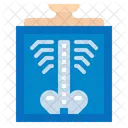 Skelett Medizin Knochen Symbol