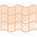 Roof  Icon
