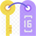 Room Key Security Smart Card Icon