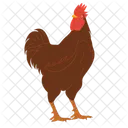 Rooster Chicken Hen Icon