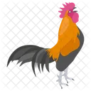 Rooster Zodiac Rooster Hen Icon