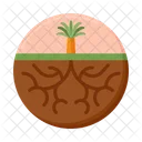 Root  Icon