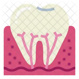 Root  Icon