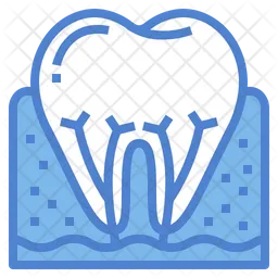 Root  Icon