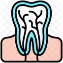 Root Canal Tooth Nerve Icon