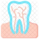 Root Canal Tooth Nerve Icon