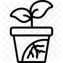 Root Suffocation Root Suffocation Icon