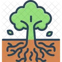 Roots  Icon