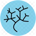 Roots Plant Underground Icon
