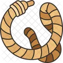 Rope  Icon