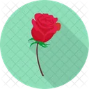 Rosa Amor Dia Dos Namorados Icon