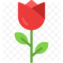 Rosa Flor Petalas Icon