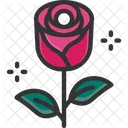 M Rosa Rosa Del Amor Flor Del Amor Icono