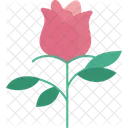 Rosa Flor Flor Icon