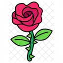 Rosa Amor San Valentin Icon