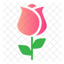 Rosa  Icon