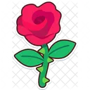 Rosa  Icon