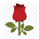 Rosa Flor Amor Icon