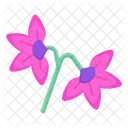 Pinke Blumen  Symbol