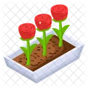Rosa em vaso  Ícone