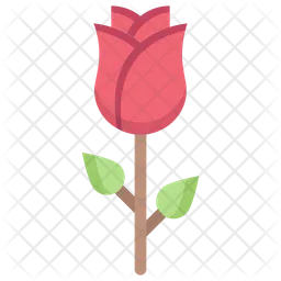Rosa  Icono