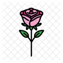 Rosa Vermelha Flor Amor Ícone