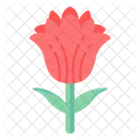 Rosa vermelha  Ícone