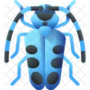 Butterfly Insect Nature Icon