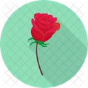 Rose Love Valentine Icon