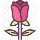 Rose Flower Red Rose Icon