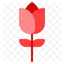 Rose Flower Love Icon